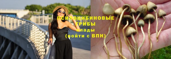 каннабис Баксан