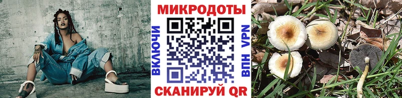 ОМГ ОМГ   Барыш  Галлюциногенные грибы GOLDEN TEACHER  магазин продажи наркотиков 